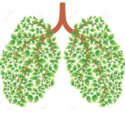 肠道菌群直接影响肠道健康,肠道菌群影响血糖吗