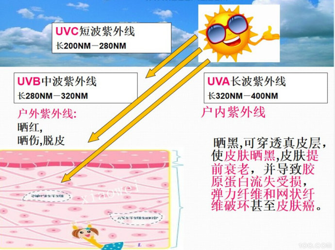 踏青赏花要留心勿让过敏惹上身,踏青要小心昆虫叮咬视频