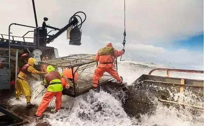 在多伦多吃喝玩乐,加拿大多伦多鱼乐轩大龙虾