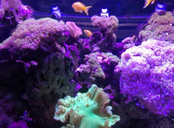 郑州白天哪里好玩适合情侣的,在郑州情侣适合去哪种地方游玩