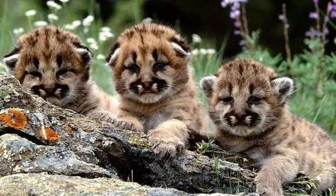 上海地铁附近景点推荐,上海地铁15号线沿线有哪些景点