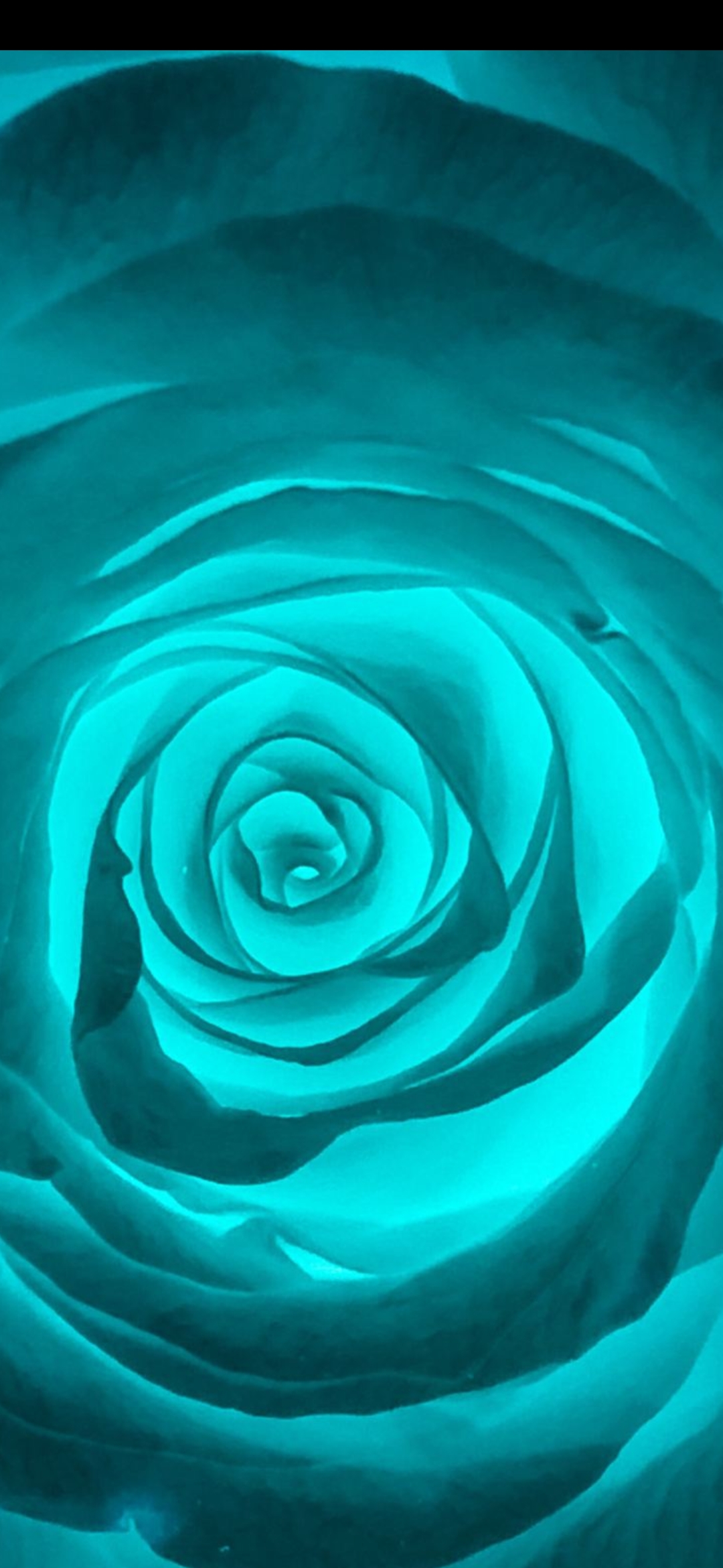 霸王举鼎实战,霸王举鼎杀伤力大吗