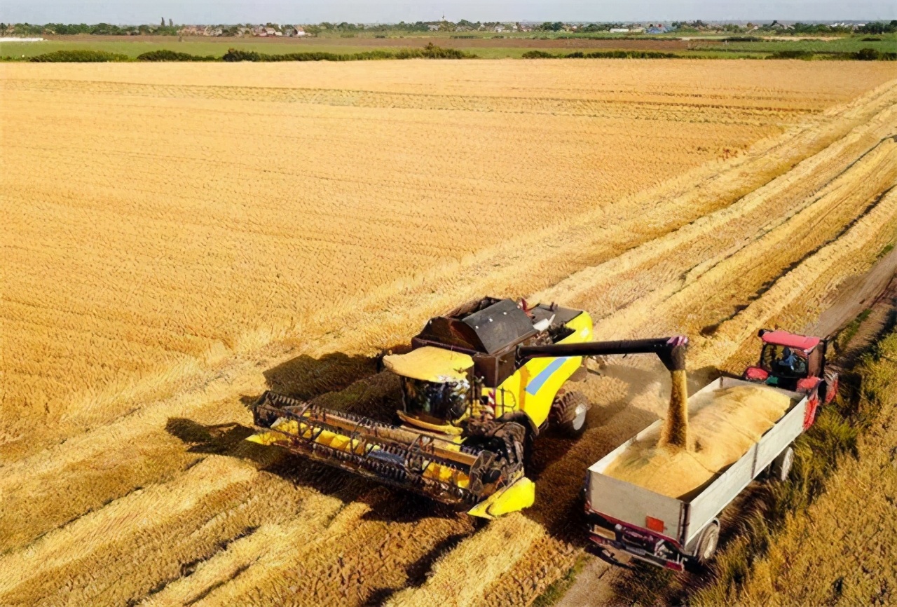 美国粮食价格危机,美国是如何操控世界粮价的