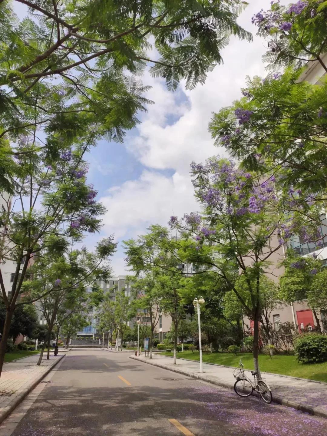 桂林理工大学怎么样,桂林理工大学好不好