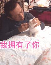 你见过猫咪的眼睛吗,你见过猫咪这种眼神吗