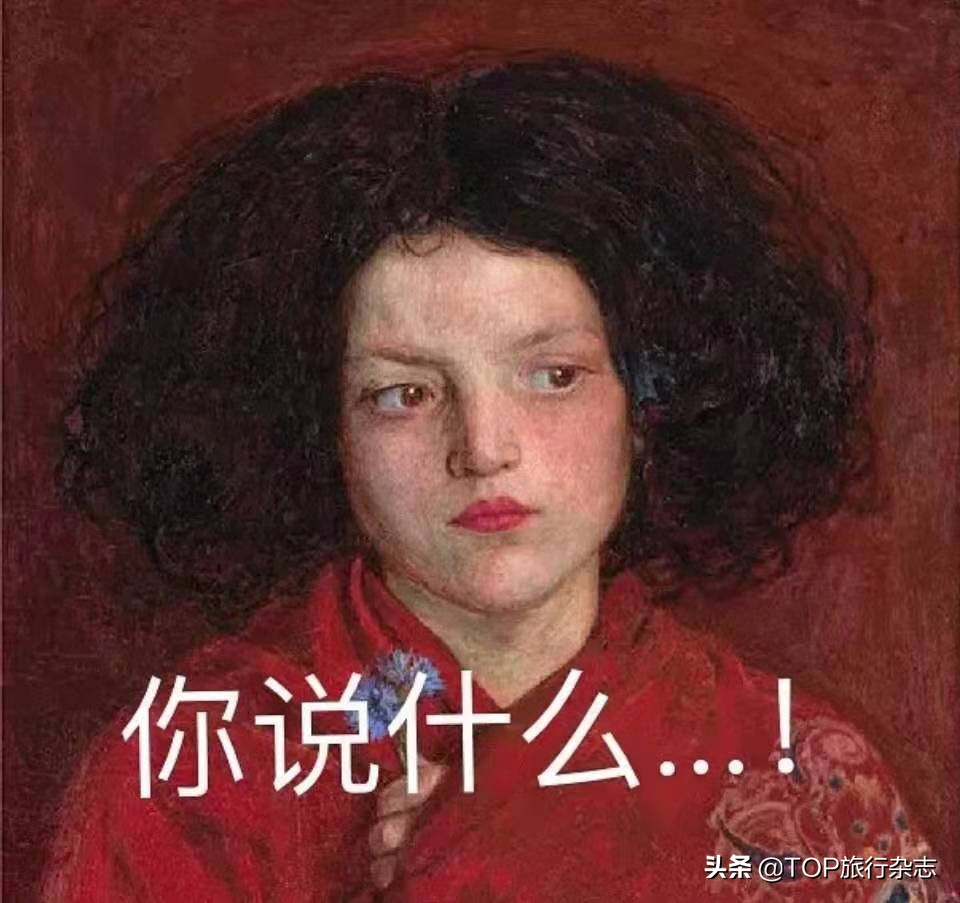 旅客带275万名表被查,旅客带275万名表入境被查获