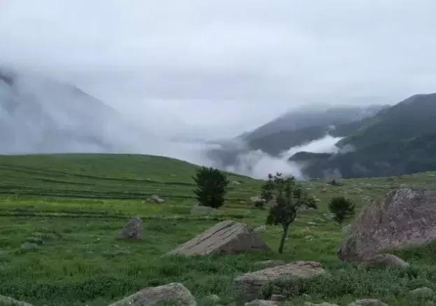 风里来雨里去上海,风里来雨里去重庆