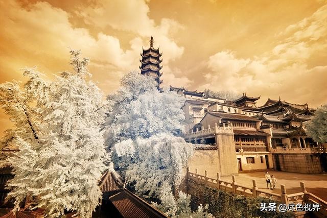 这枚“小品圣手”+吃货,从镇江飘然而过