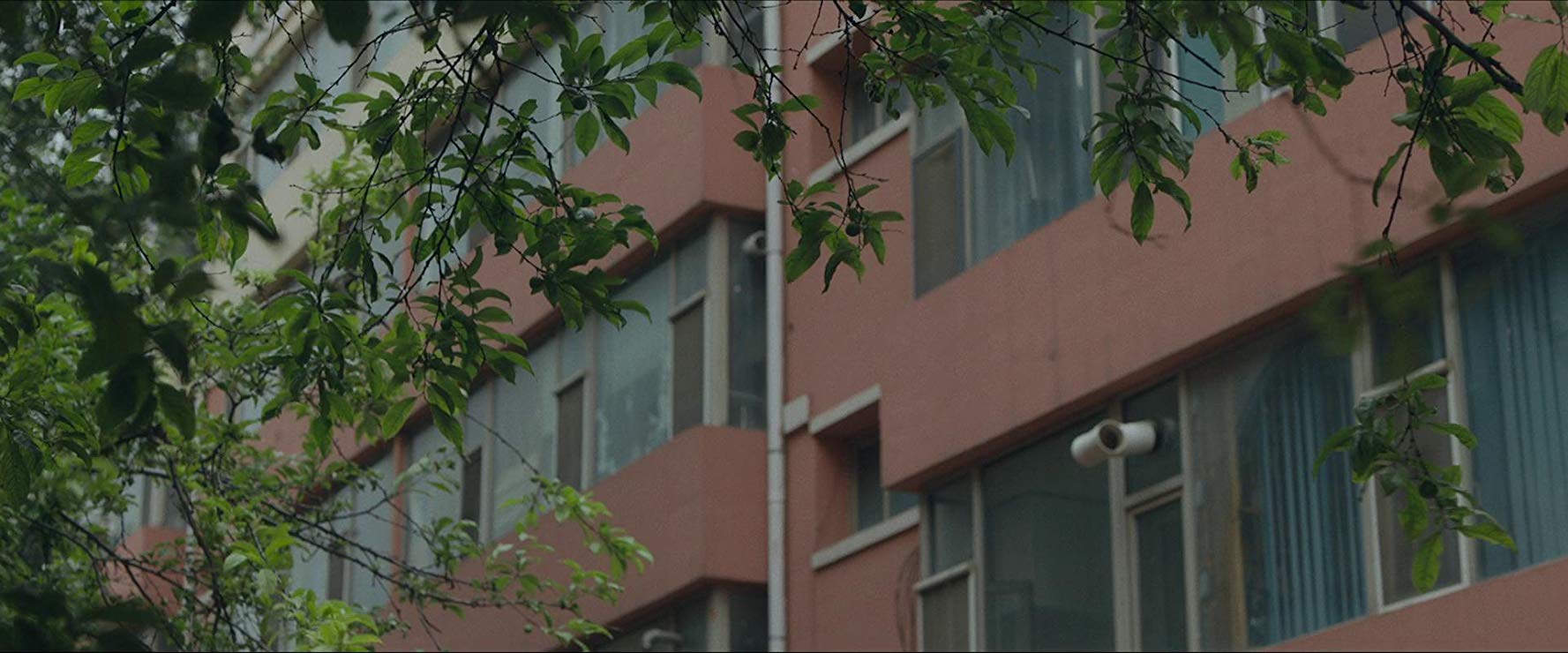 电影别告诉她短片,电影别告诉她创作