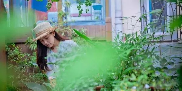 花艺行业市场前景,花艺行业赛道