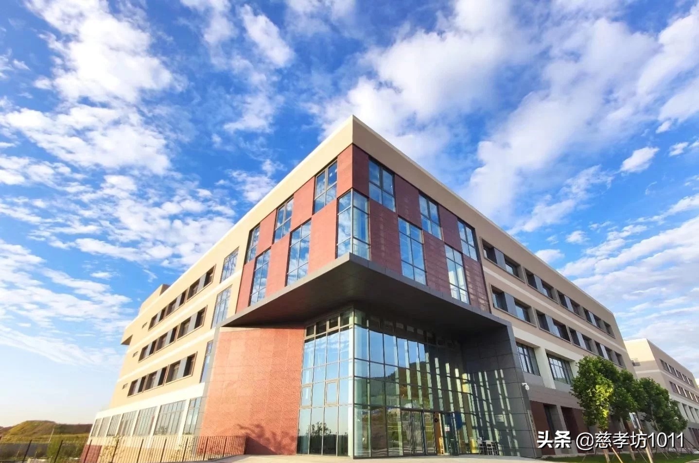 我的大学时光英语,在青岛科技大学读书什么感觉