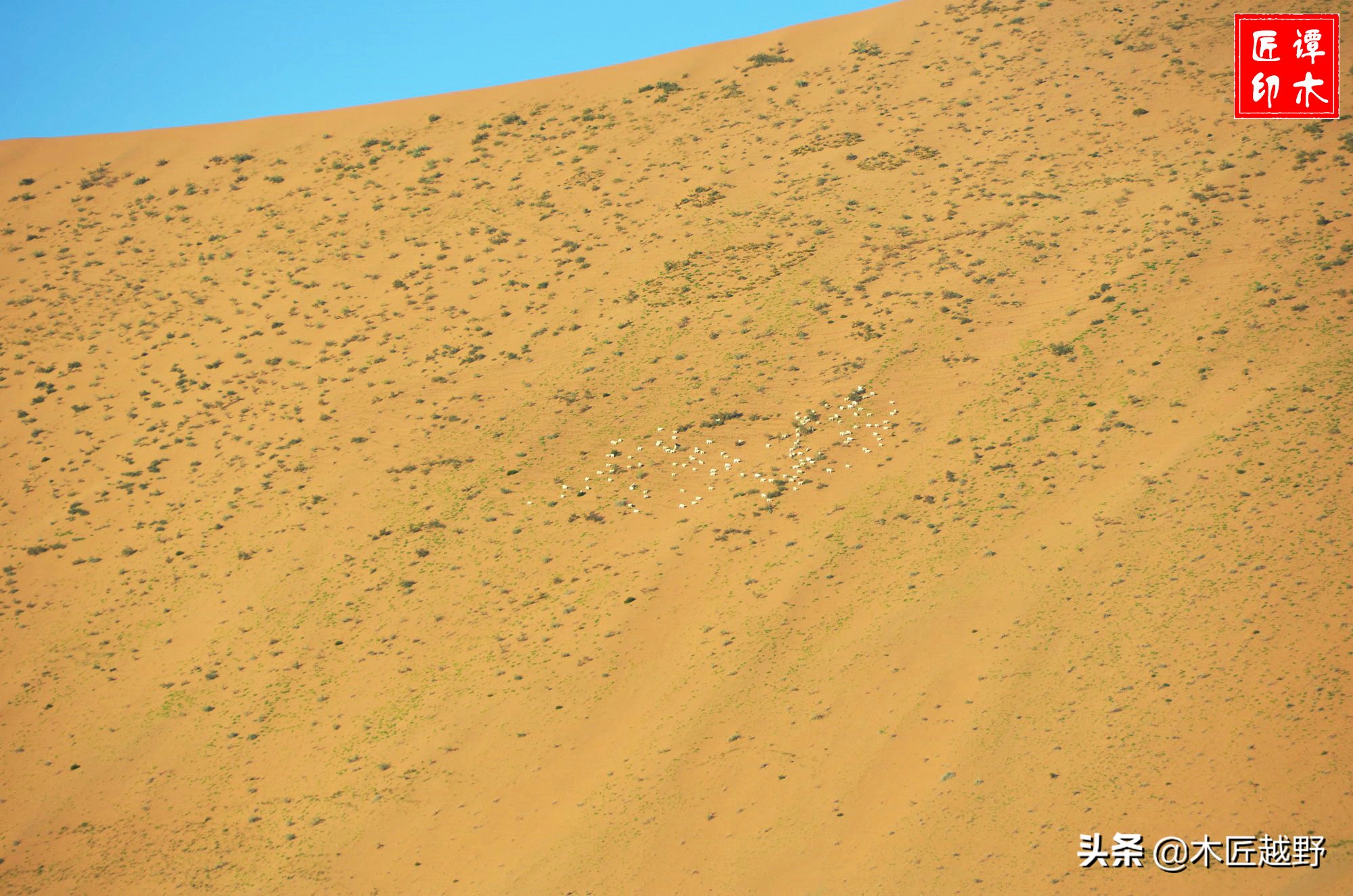 当木工学徒,当木匠的故事