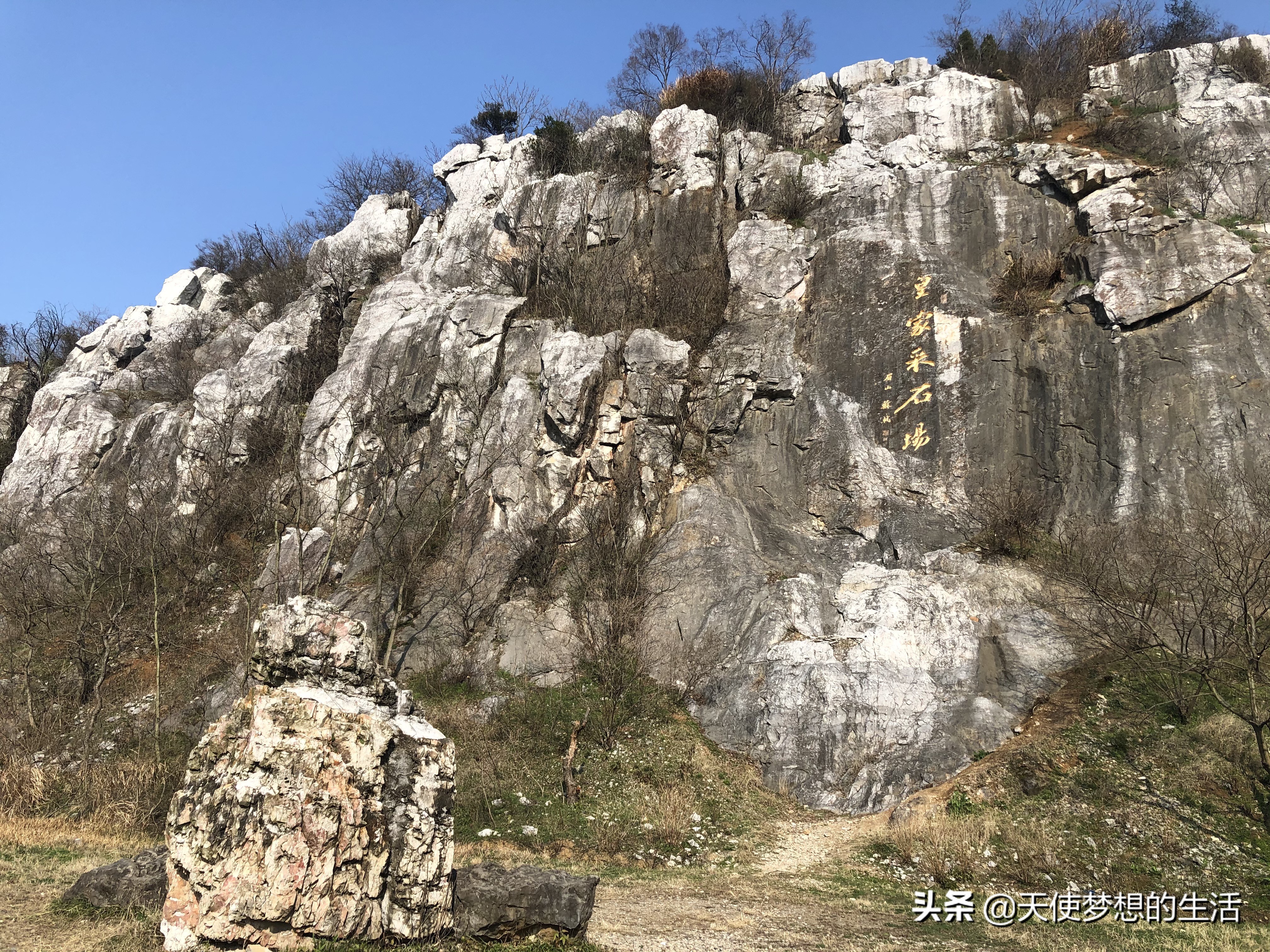 苏州太湖三山岛景区,苏州太湖的三山岛有风景吗
