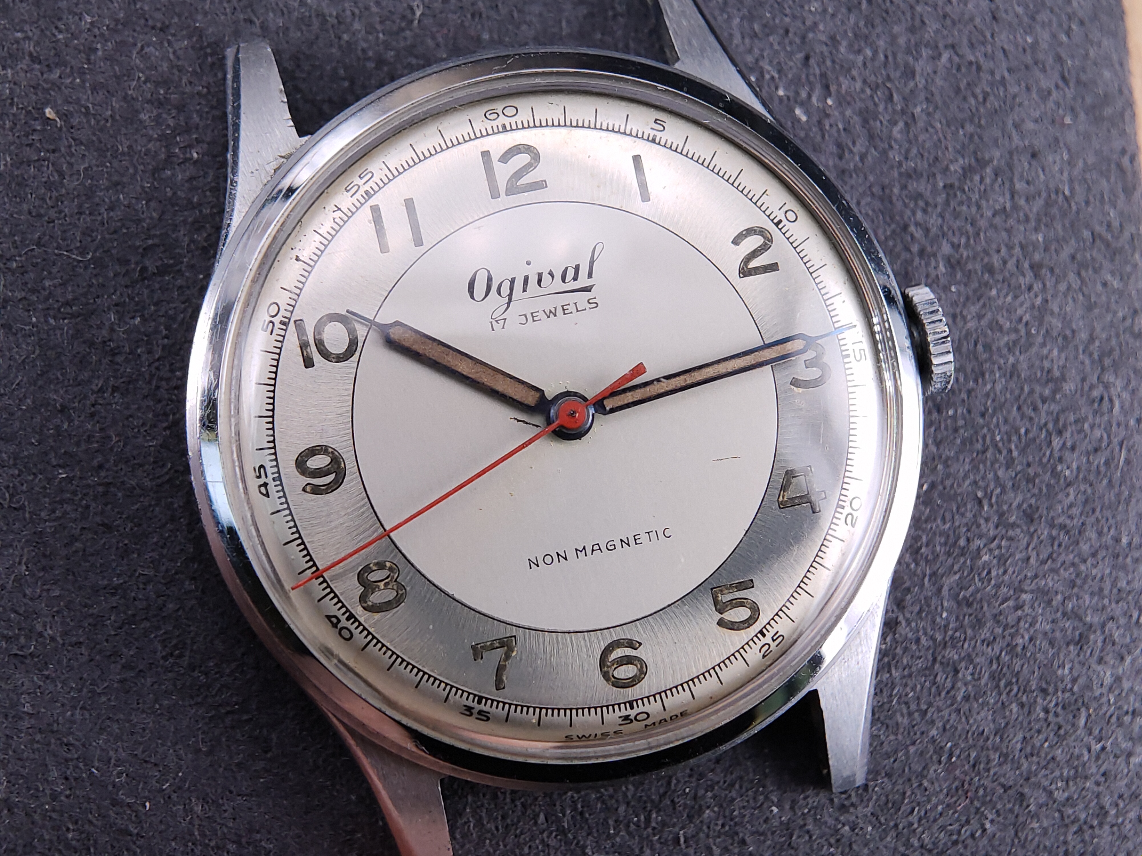 因为一条鱼爱上一个人,因一条鱼丢了一条命