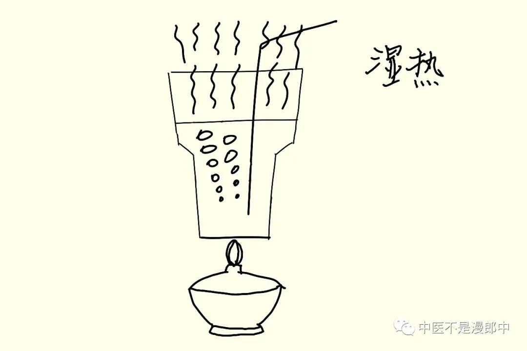 薏苡仁祛湿效果怎么样,被拉下神坛的特效药