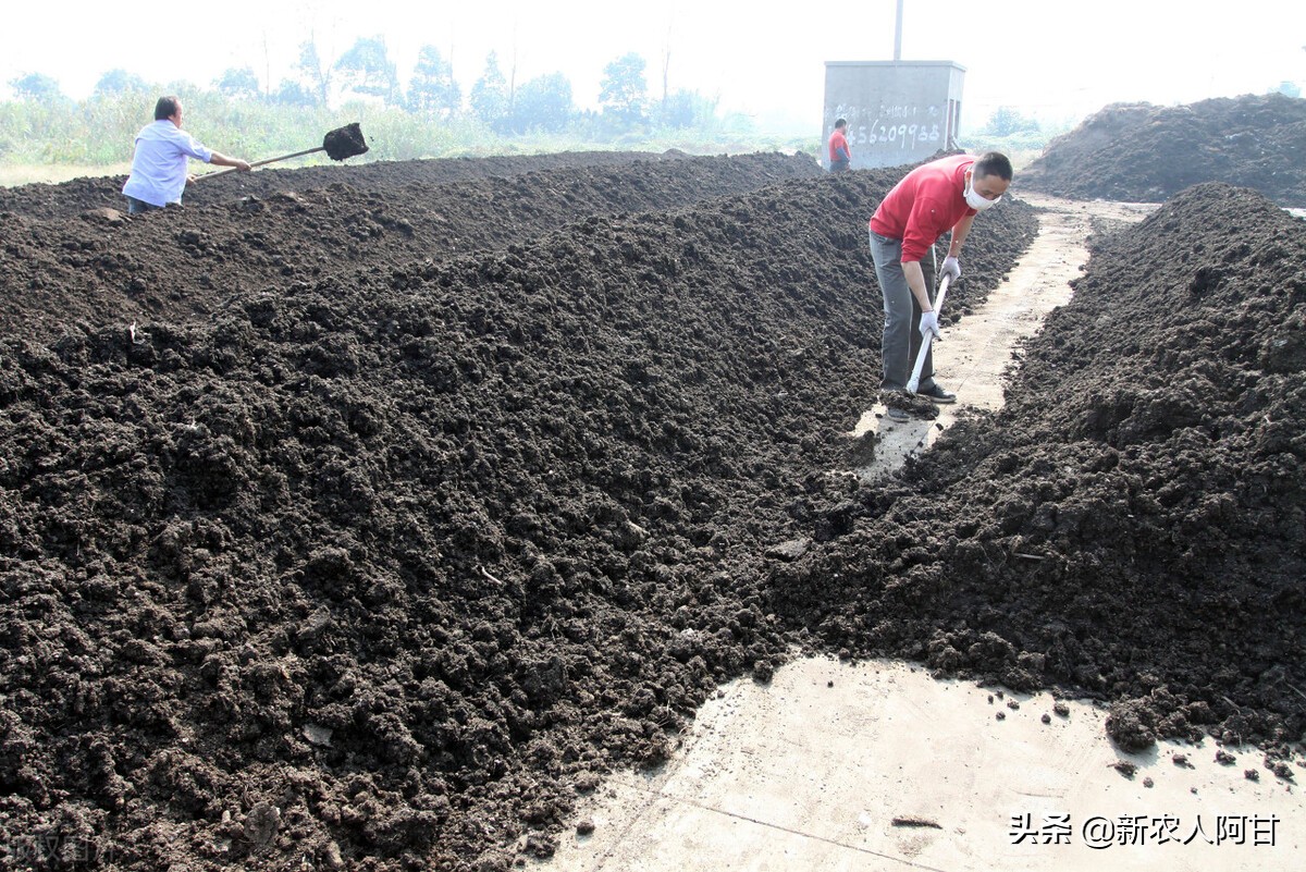 未来养殖业的商机和发展趋势,未来5年畜牧养殖业发展的10大机会