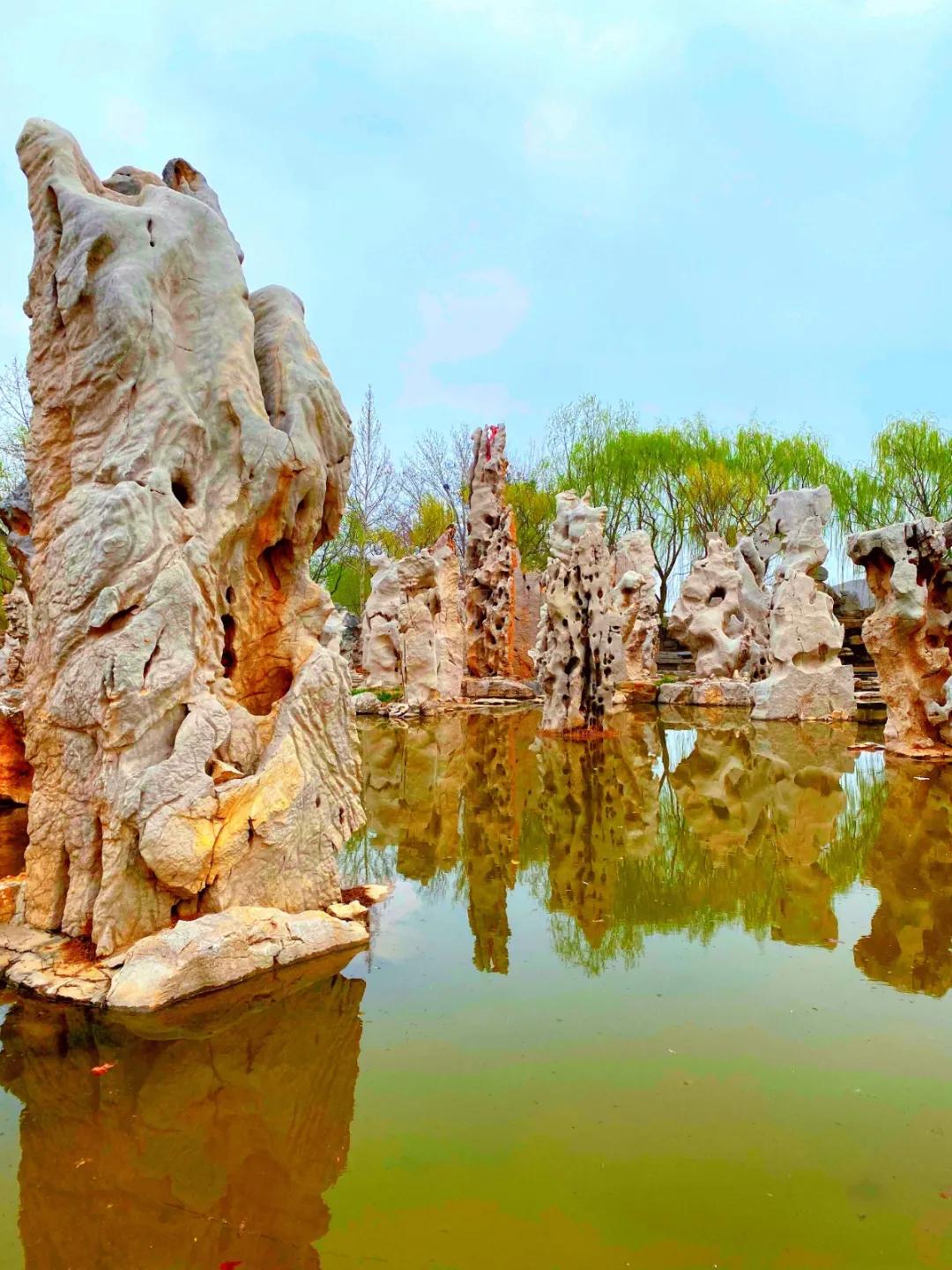 聊城姜堤乐园的门票是多少钱,姜堤乐园玻璃桥