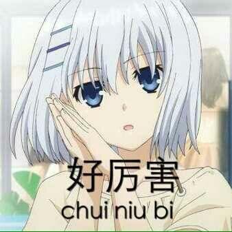 忍不住了!这部绝对就是十月新番中最尬最降智的作品吧?