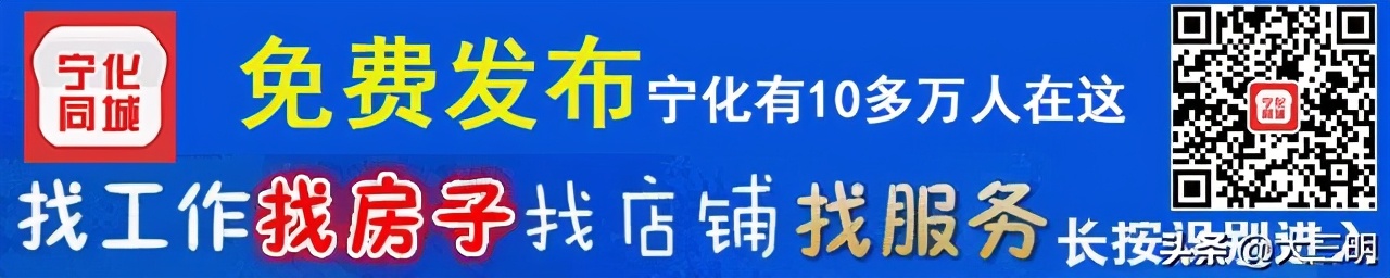 宁化工作招聘信息,宁化县招聘网最新招聘信息