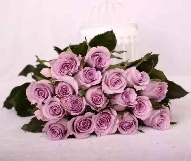 一万年一次的2020520；一起认识100种玫瑰~别送错啊