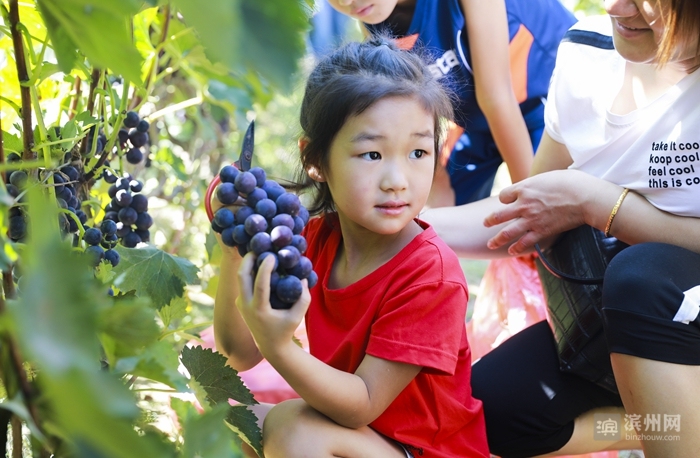 2018时光已走滨州日报90后小美摄影记者定格了您的最美