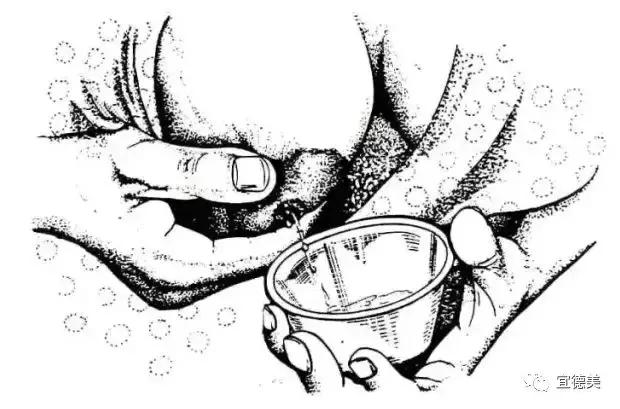 产后母乳太少了怎么断奶,哺乳期怎样回奶才正确