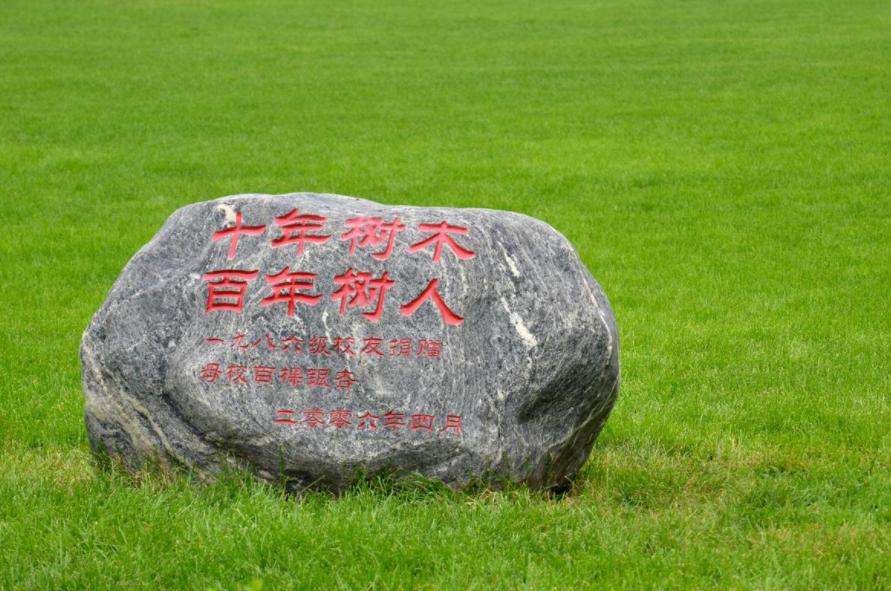 江西野鸡大学是最多的吗,江西野鸡大学曝光