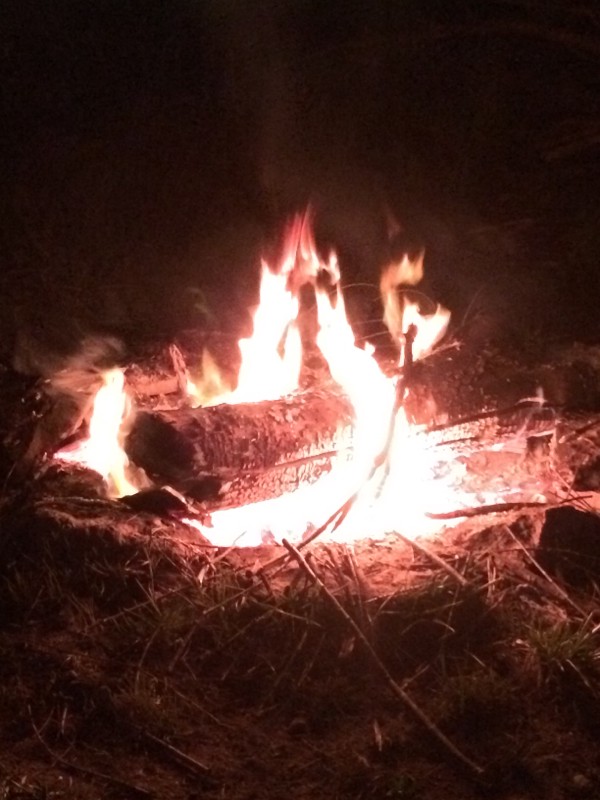 为什么在火炉里放两倍的燃料，燃烧的时间反而会减半？