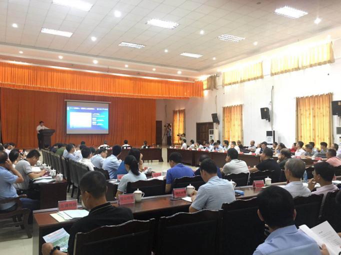 广西今年甘蔗甜菜播种面积,2023年下半年广西甘蔗种植面积