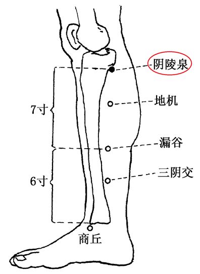 治疗胃痉挛痛的经方,胃痉挛扎针就缓解4个小时