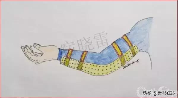 手绘科普类,手绘类科普