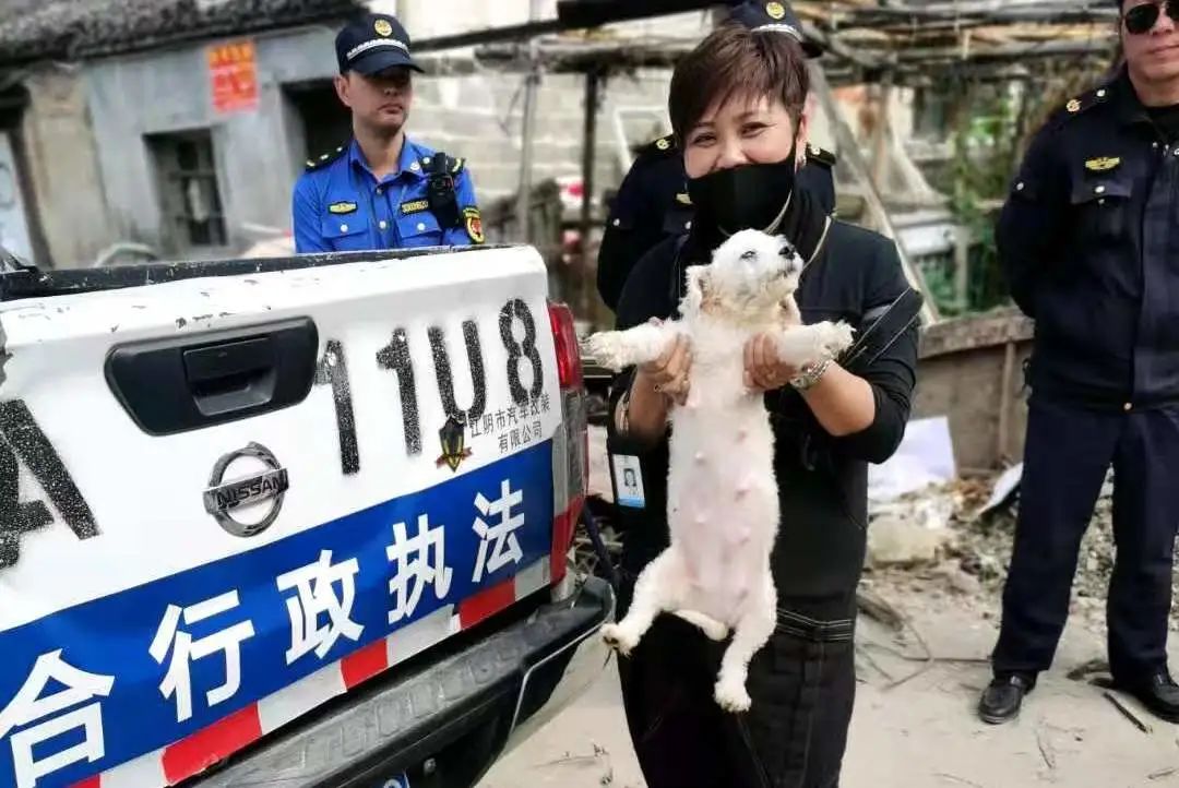 去非法屠宰场杀猪被抓,非法屠宰鸡鸭怎么处罚