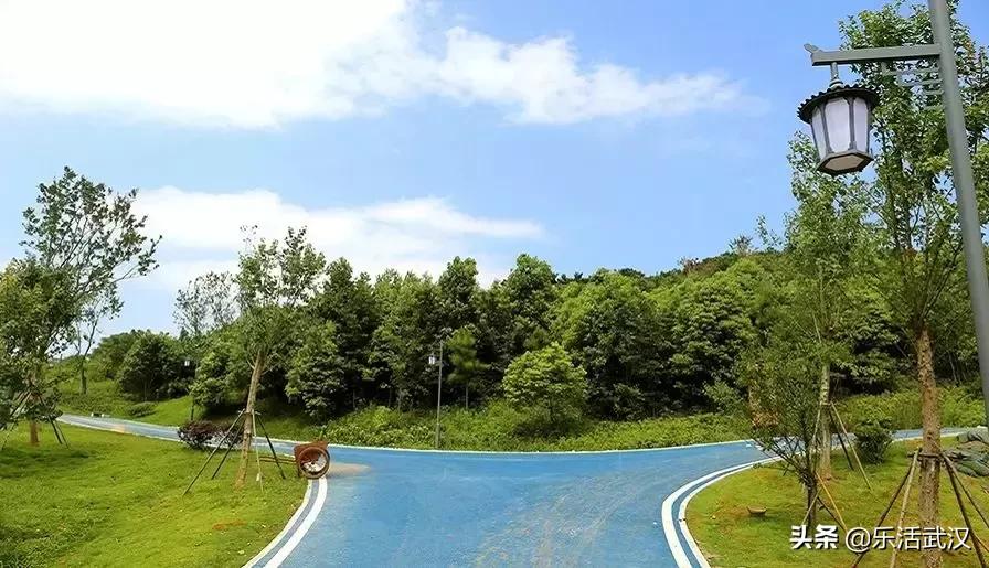 原来武汉有这么多好玩的打卡地,武汉周边新晋7大网红打卡地