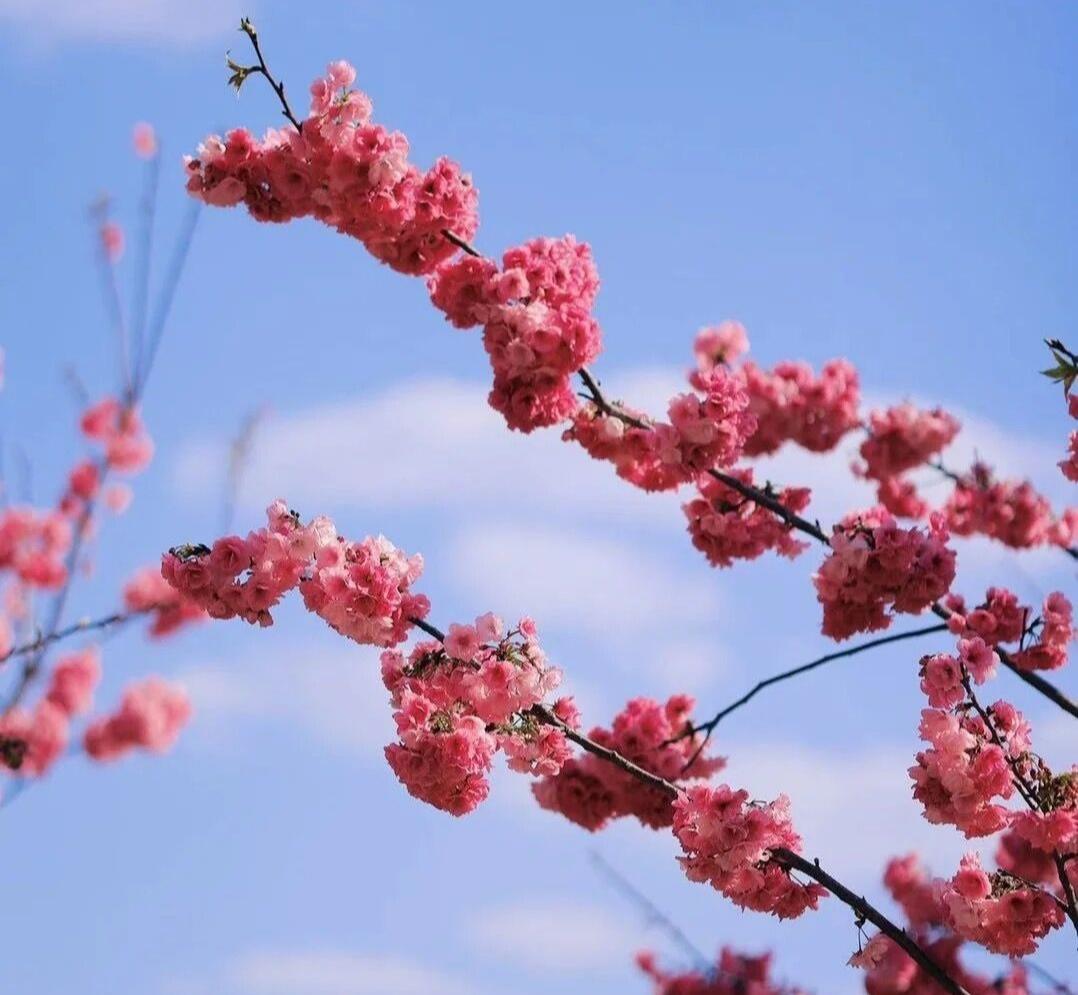 今天宜良景点哪里好玩,宜良好玩的夜景