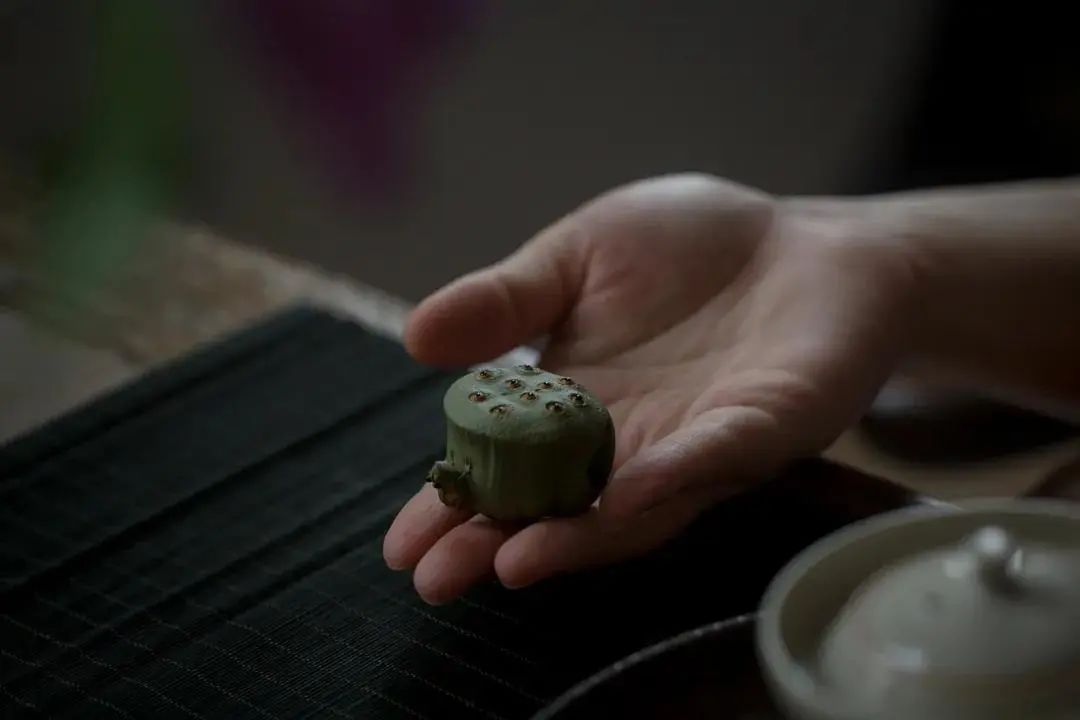 喝茶的茶宠怎么养,喝茶为什么要配上茶宠