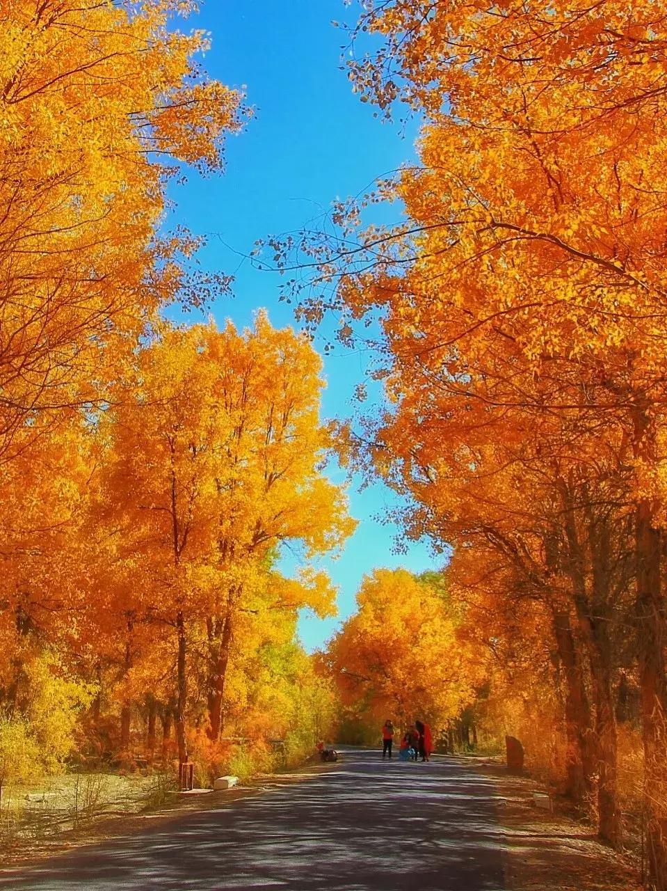 丽江最美的一个地方,中国最美100个地方丽江