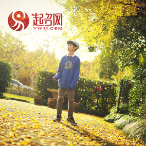 才华横溢的男孩名字小名,才华横溢男孩子