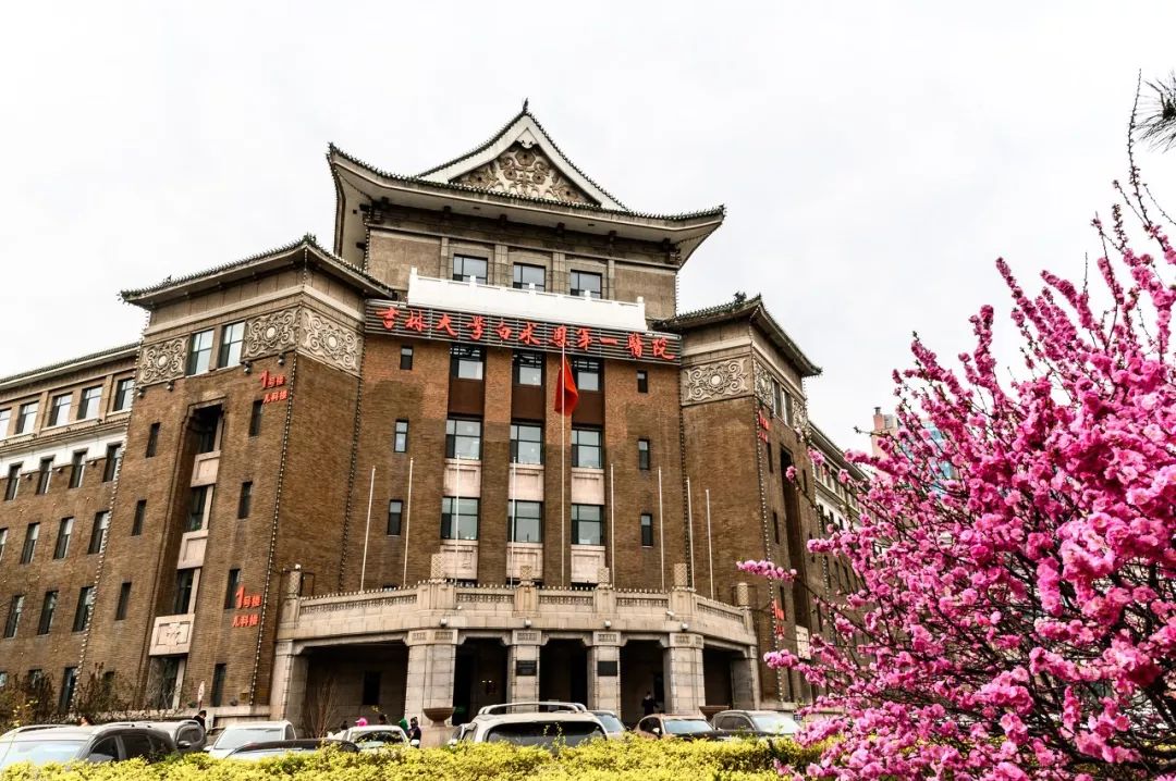 清明假期在哪玩,开启清明假期