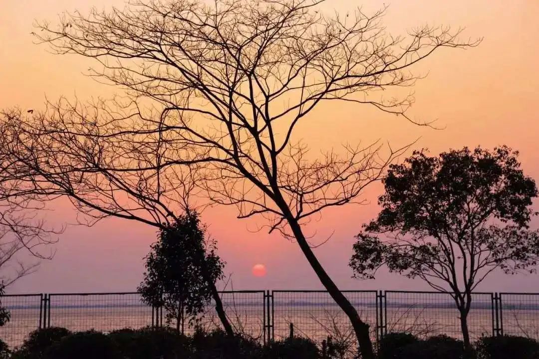 苏州托普“拍了拍”你：冲吧，乘风破浪的毕业生