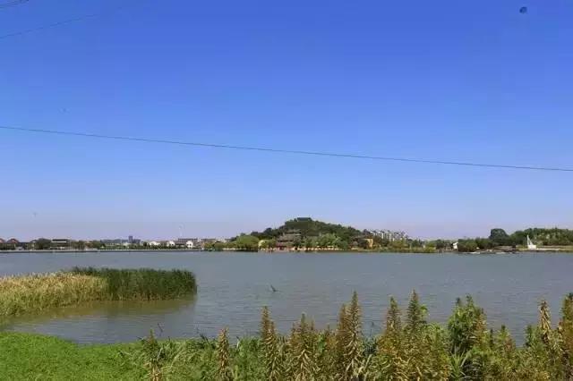 宁波踏青免费好去处,宁波踏青赏花最佳地