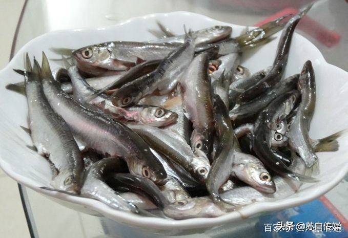 中国最大的内陆湖鱼,中国哪里湖的鱼最贵