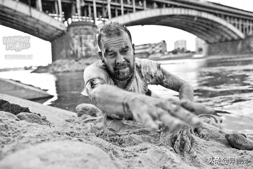 当宠物生病治疗费用太高,宠物生病治疗费有多昂贵