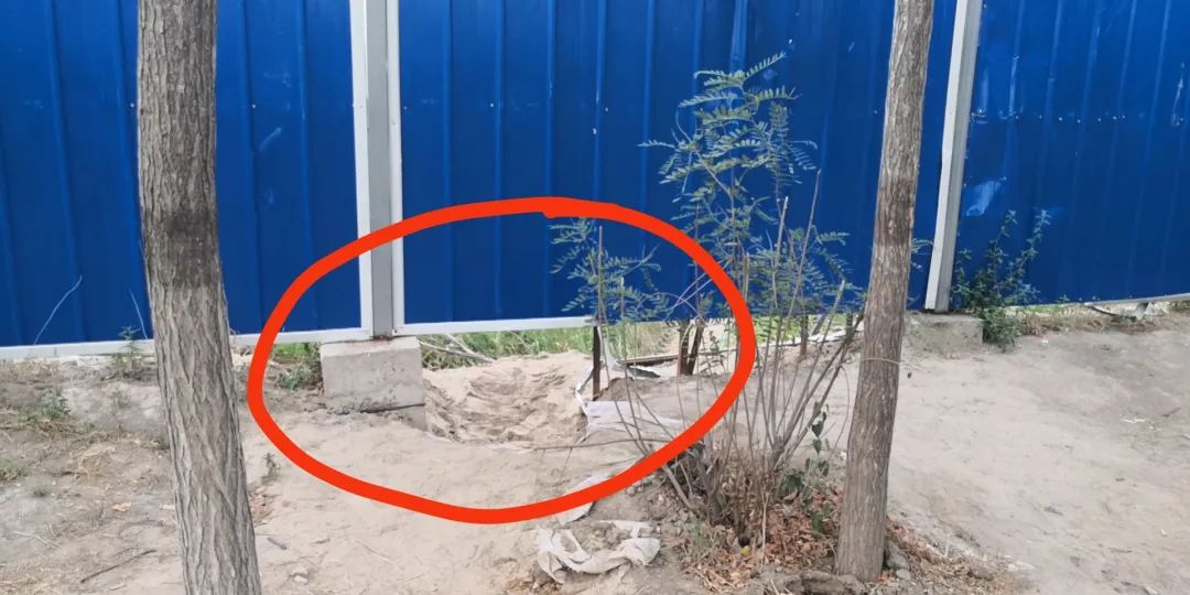 来东疆亲海踏浪，请远离这些“隐秘的角落”