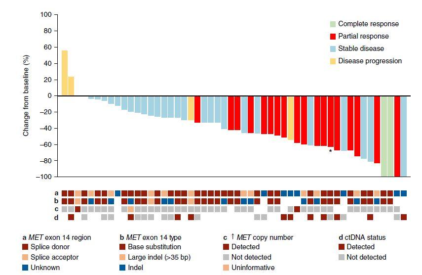 多年长跑，万众期待：这款抗癌好药capmatinib上市了，有效率68%