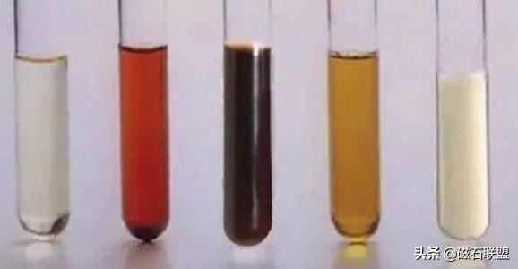 宠物粪检能检查什么,宠物体检应该查什么