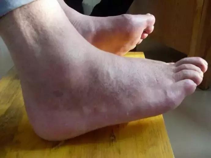 快死的鱼放到河里还能活吗,快死的鱼还在挣扎能活吗