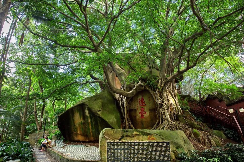 福州十大免费景点,福州网红景点免费