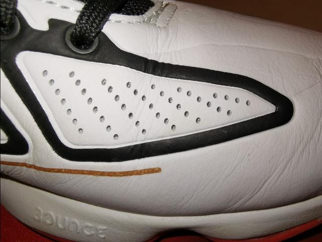 罗斯玫瑰战靴,玫瑰十年