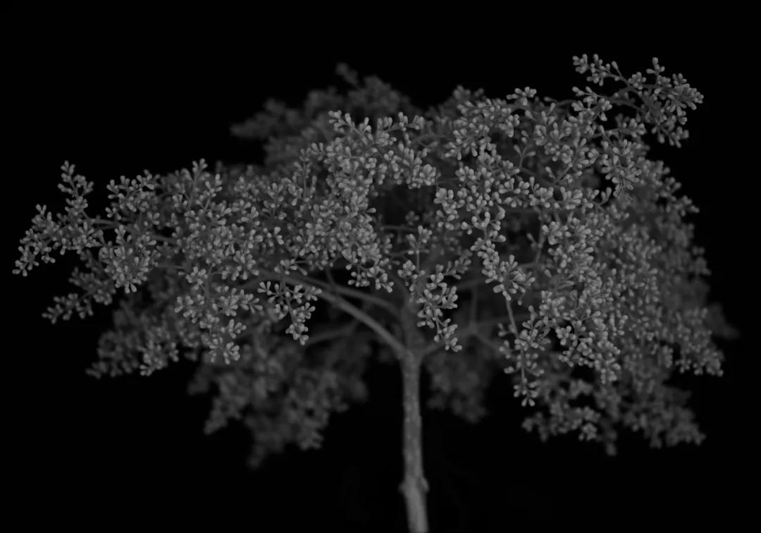 香港第14届全国摄影艺术展,第29届全国摄影艺术展览获奖名单