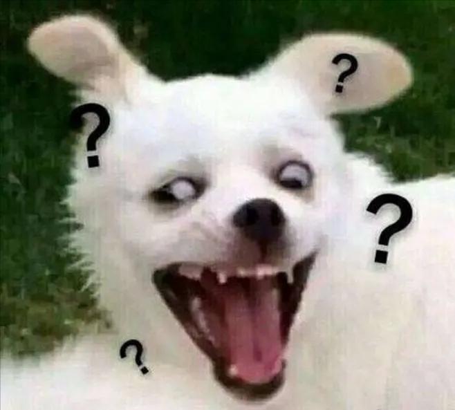 转会巴黎的梅西进球了吗,关于梅西转会巴黎的新闻特写